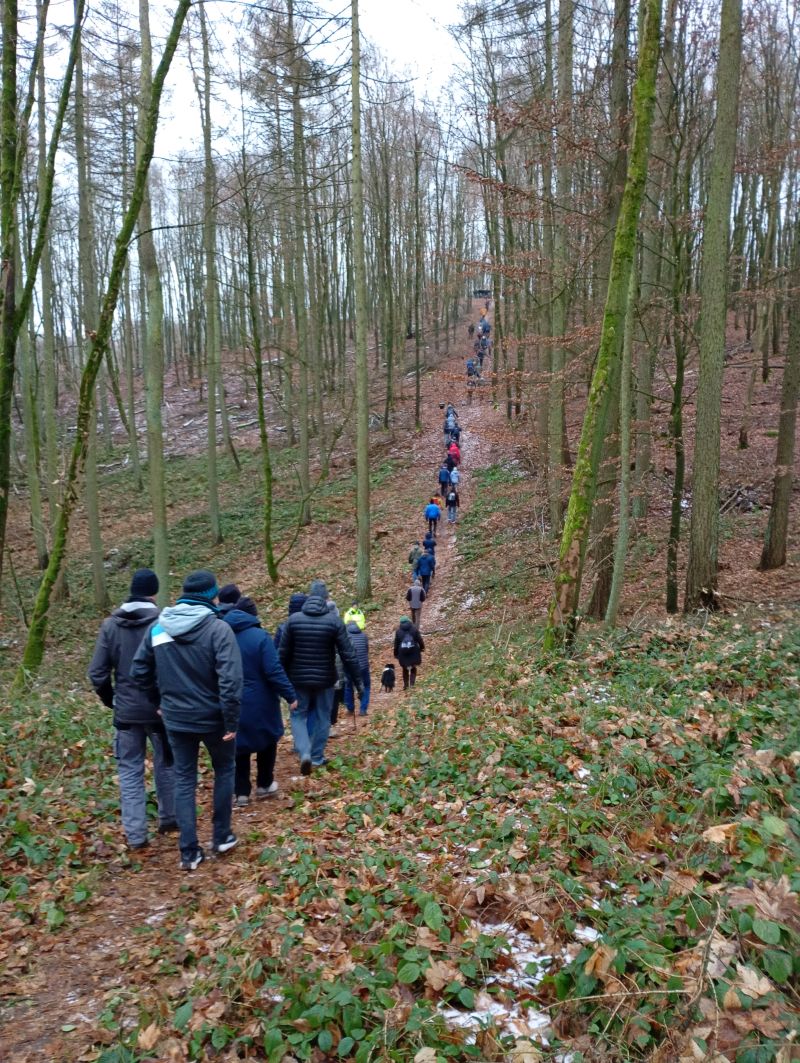 Neujahrswanderung 2026