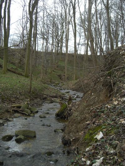 Wolfsschlucht