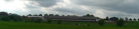 Kuhstall in Pasenow