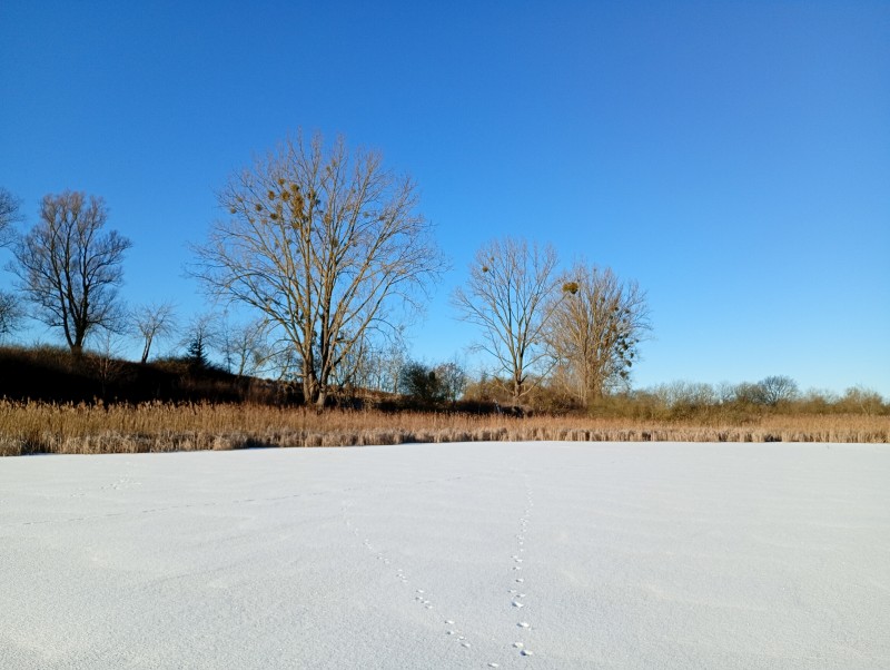 Helpter See im Winter